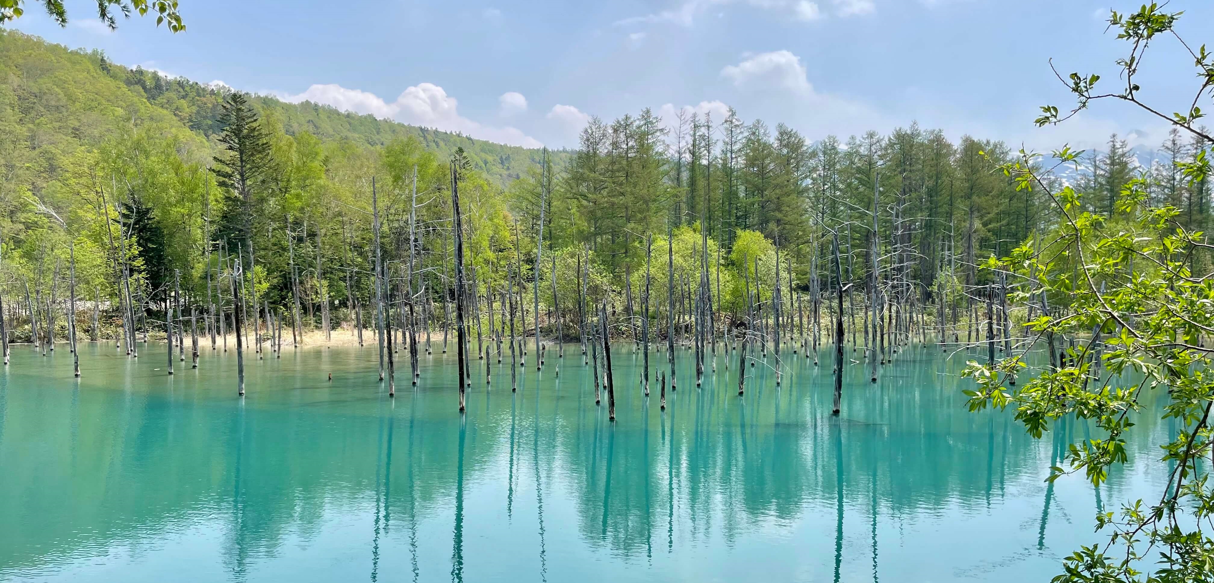 青い池
